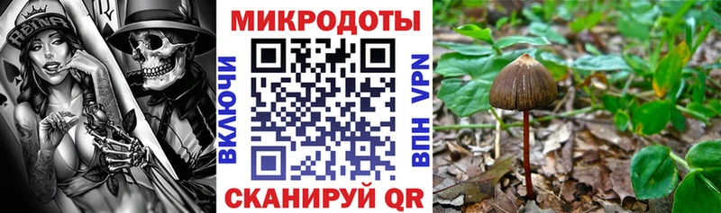Псилоцибиновые грибы MAGIC MUSHROOMS  где продают   Партизанск 